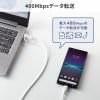 KU-CCP60ACC10W / USB2.0Type-Cケーブル（CtoA変換アダプタ付き・PD60W・ホワイト）