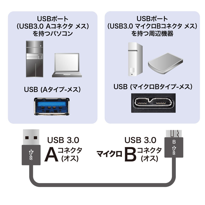 特長