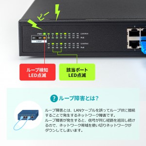 LAN-GIGAPOE1601