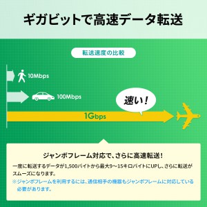 LAN-GIGAPOE55