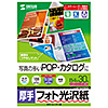 LBP-KAGNB4N カラーレーザー用フォト光沢紙・厚手(B4・30枚) LBP-KAGNB4N / カラーレーザー用フォト光沢紙・厚手(B4・30枚)