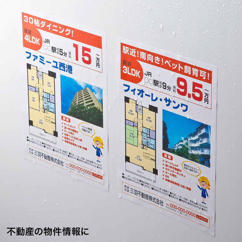 特長