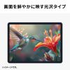 LCD-IPAD242KFPT2 / PDA-IPAD1702CL2対応指紋防止光沢フィルム