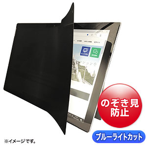 LCD-ZE2LN109IPADA / 2WAY覗き見防止フィルム（iPad Air 10.9インチ対応）