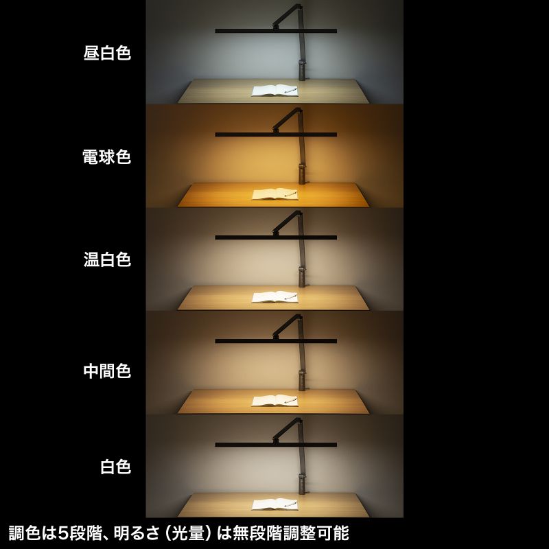 特長