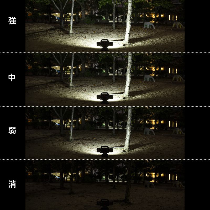 特長
