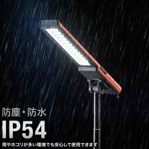 LED-FL2