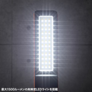 LED-FL2