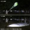 LED-PEN2BK ペン型ライト(ショートタイプ) LED-PEN2BK / ペン型ライト(ショートタイプ)