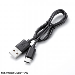 LED-WL1