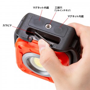 LED-WL2