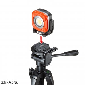 LED-WL2