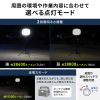 LED-WL5 / LEDバルーンライト（240W・38400lm・高さ調整・屋外対応）