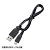 LP-RF104BK タイマー付き2.4Gパワーポインター(ブラック) LP-RF104BK / タイマー付き2.4Gパワーポインター(ブラック)