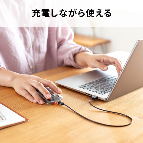 MA-SWBIRS332BK / Bluetoothワイヤレスマウス(透明ケース・充電式・ブラック)