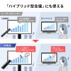 MA-WPR17BK / 2WAYプレゼンター（グリーンレーザー・マウス操作対応・タイマー機能付き）