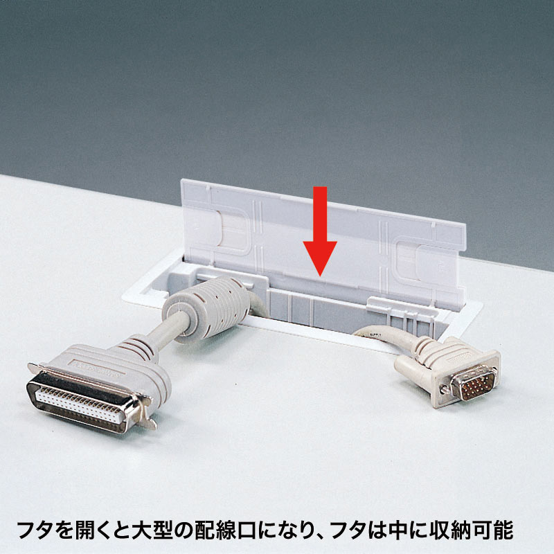 特長
