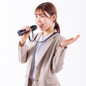 MM-SPAMP20の使用例
