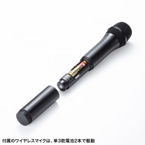 MM-SPAMP21