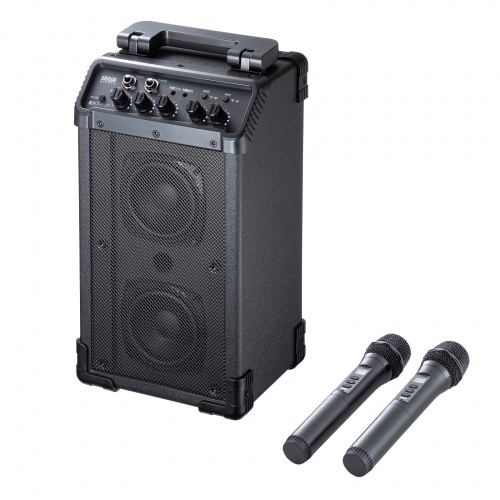 MM-SPAMP21