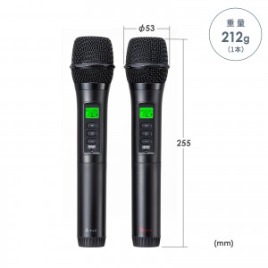 MM-SPAMP21