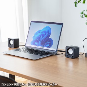 設置場所に困らない、手のひらサイズのコンパクトスピーカーを発売
