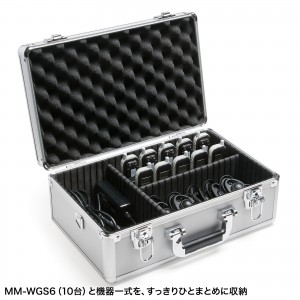 MM-WGS6-BOX1