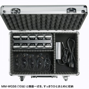 MM-WGS6-BOX1