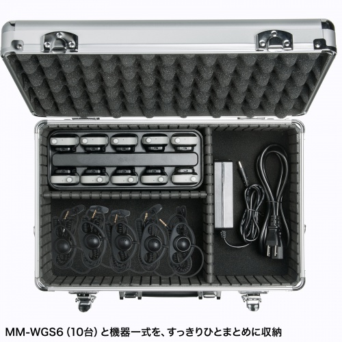 MM-WGS6-BOX1の画像