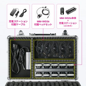 MM-WGS6-BOX1