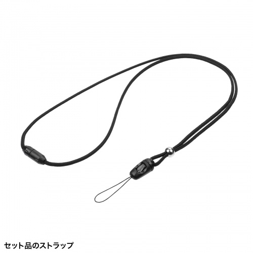 MM-WGS6 / ワイヤレスガイドシステム