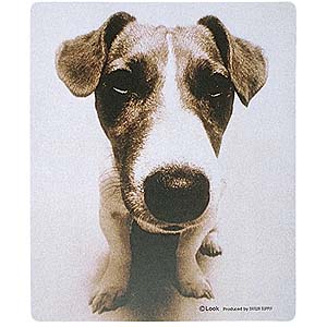 MPD-203E / マウスパッド