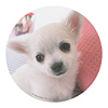 MPD-208H マウスパッド(チワワ) MPD-208H / マウスパッド(チワワ)