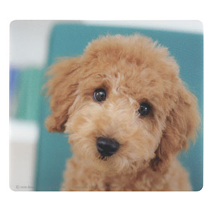 MPD-209F / マウスパッド（トイ・プードル）