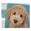 MPD-209F / マウスパッド（トイ・プードル）
