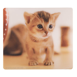 MPD-209J / マウスパッド（アビシニアン）