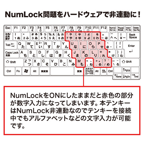 NT-16UBKN / USBテンキー（ブラック）