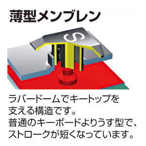 特長
