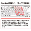 NT-17UBKN / USBテンキー（ブラック）