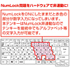 NT-17UBK USBテンキー(ブラック) NT-17UBK / USBテンキー(ブラック)