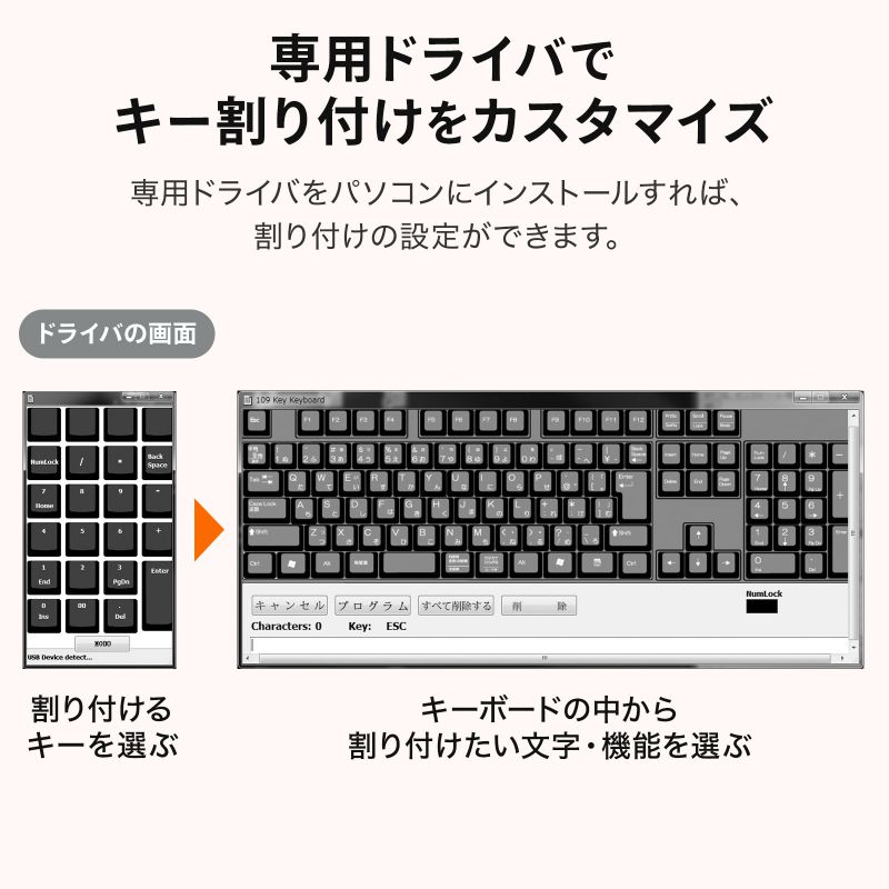 ピックアップ