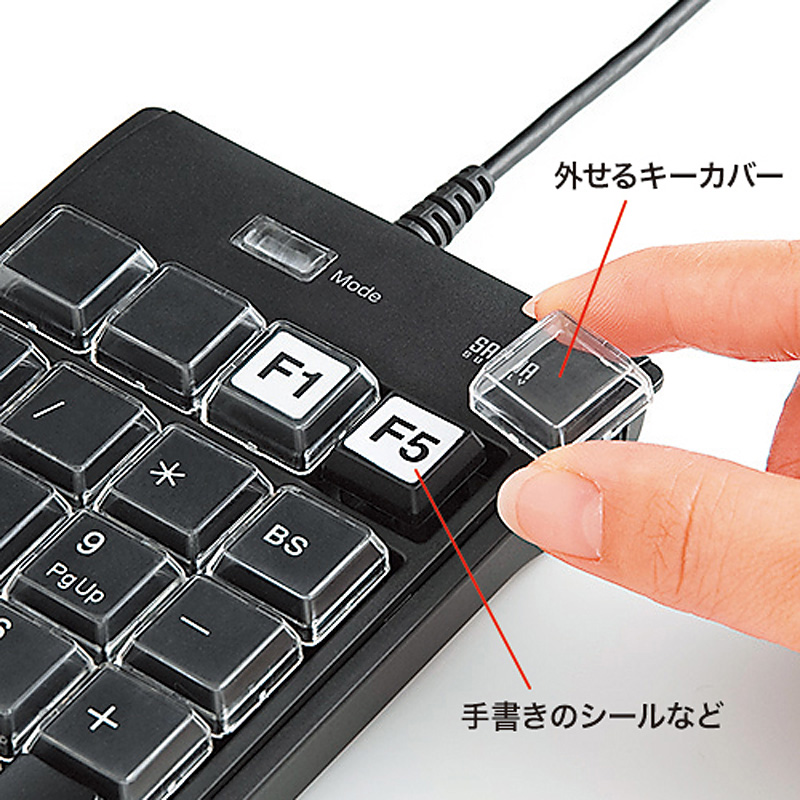 特長