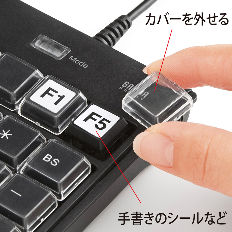 特長