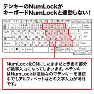 NT-21UBK