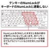 NT-25UBK 抗菌テンキー NT-25UBK / 抗菌テンキー