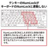 NT-25UBK / 抗菌テンキー