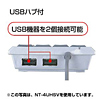 NT-4UH / USBハブ付テンキー（グレー）