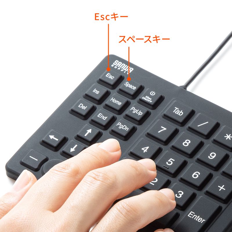 ピックアップ