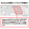 NT-WL20BK ワイヤレスUSBテンキー NT-WL20BK / ワイヤレスUSBテンキー