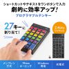 NT-WL26BK プログラマブルテンキー(2.4Gモデル) NT-WL26BK / プログラマブルテンキー(2.4Gモデル)